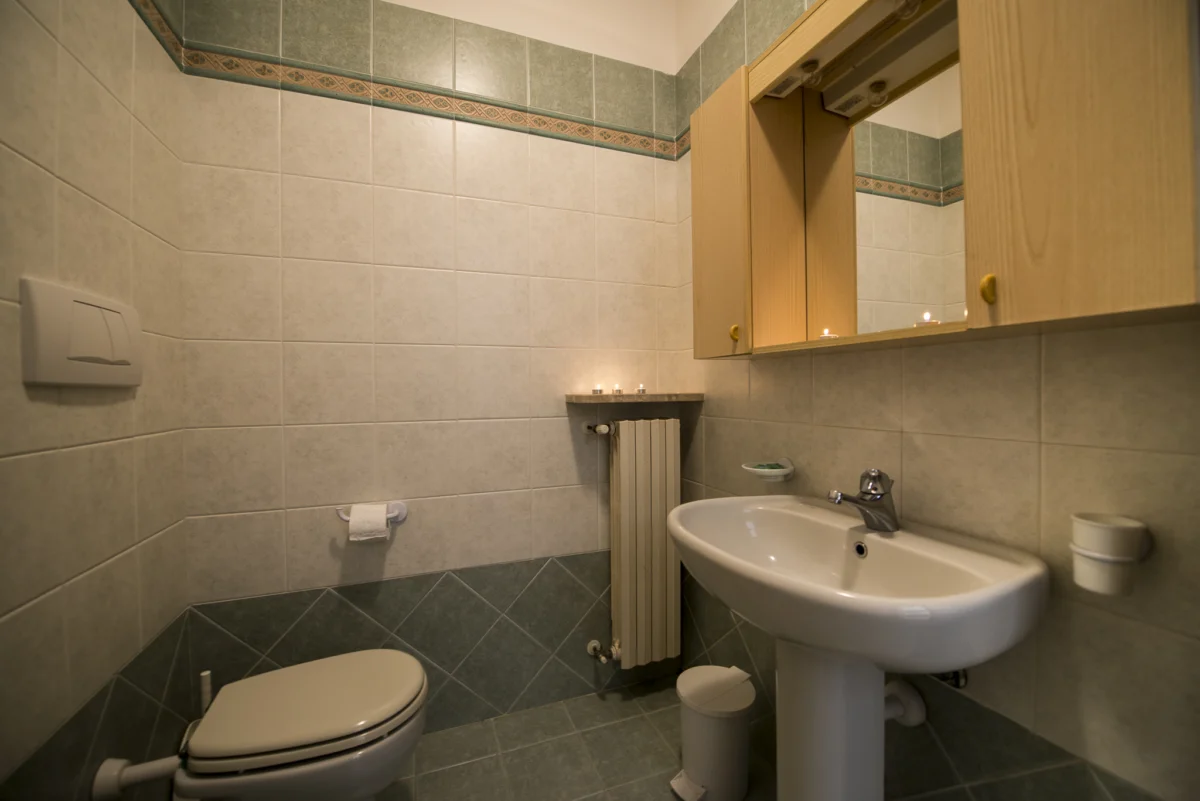 One-Bedroom Apartment with Rear View